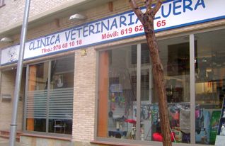 Clínica Veterinaria Zuera fachada de veterinaria